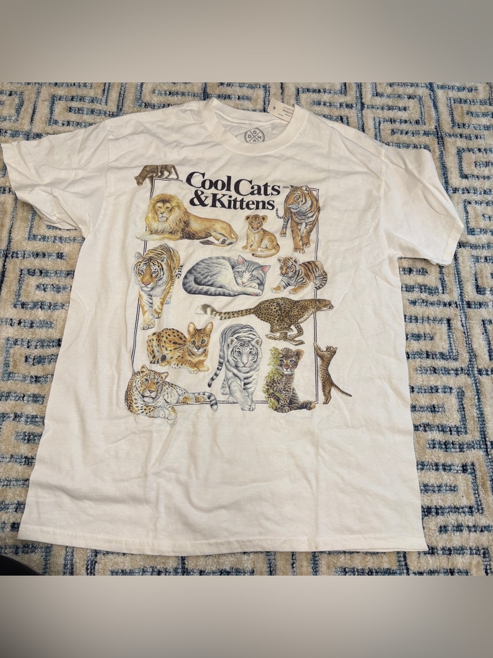 Cool Cats & Kittens White Graphic Tee